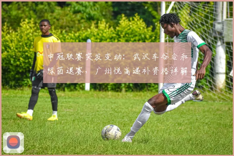 中冠联赛突发变动：武汉车谷合和绿茵退赛，广州悦高递补资格详解